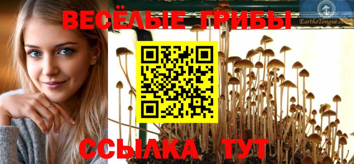 Белая Калитва  Галлюциногенные грибы Psilocybine cubensis  купить наркотики цена  Вход с VPN 